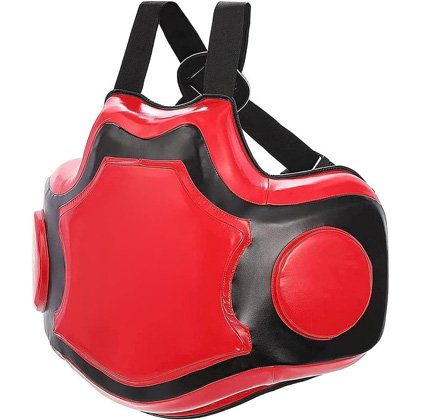 Body Protective Shield