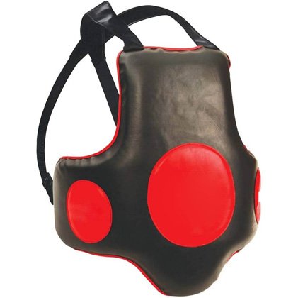 Body Protective Shield