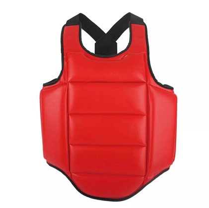 Body Protective Shield