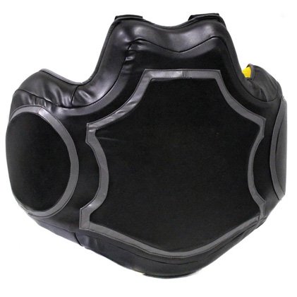 Body Protective Shield